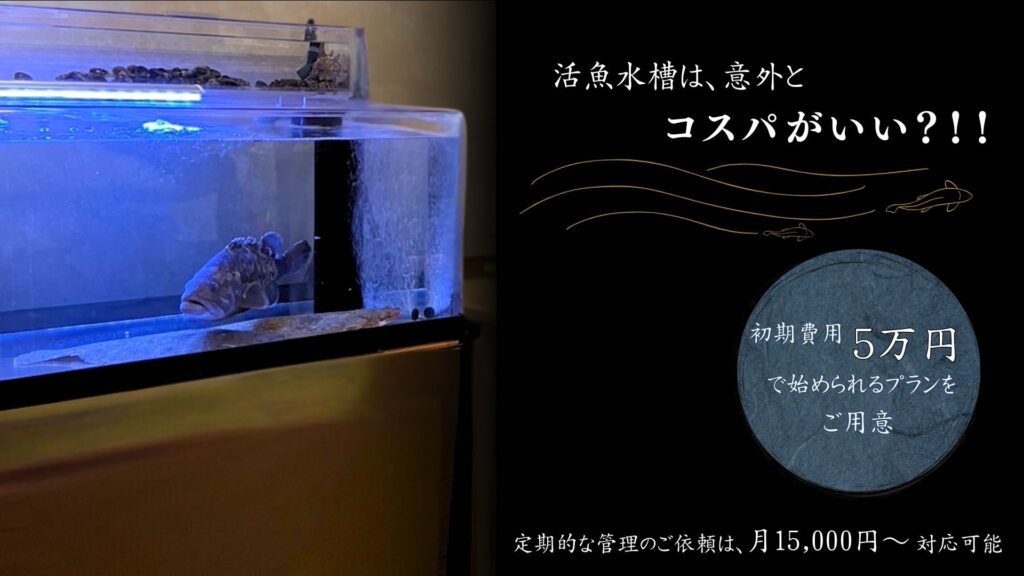 活魚水槽は意外とコスパがいい!?
水槽=高い!と思っていませんか?
初期費用たった5万円で始められる
プランを当社ではご用意しています!
定期的な管理を依頼される場合は、
月々¥1万5000円~丸投げ可能です!