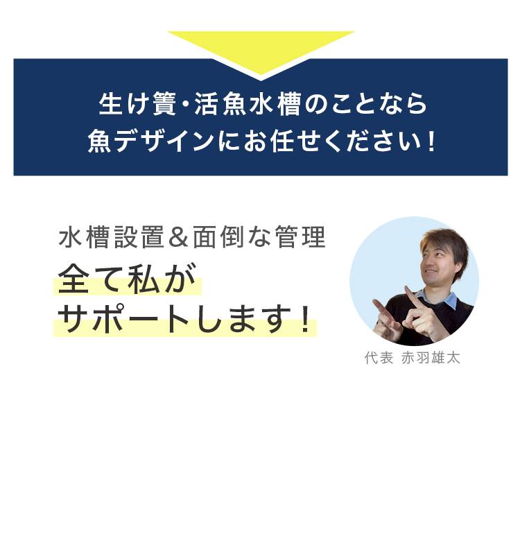 生け簀・活魚水槽のことなら
魚デザインにお任せください!