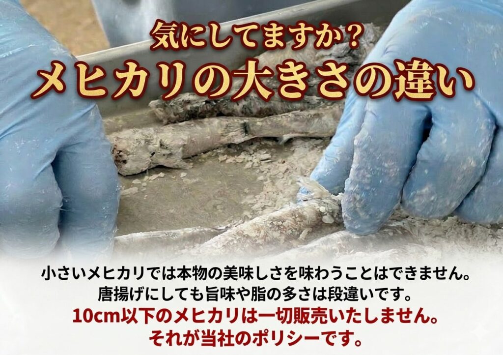 メヒカリの大きさの違い